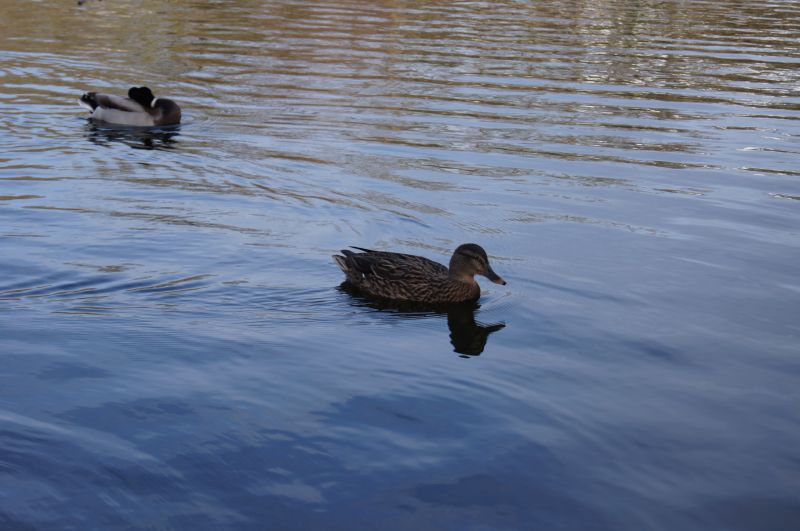 Viewing photos→2011→2011-02-24→11