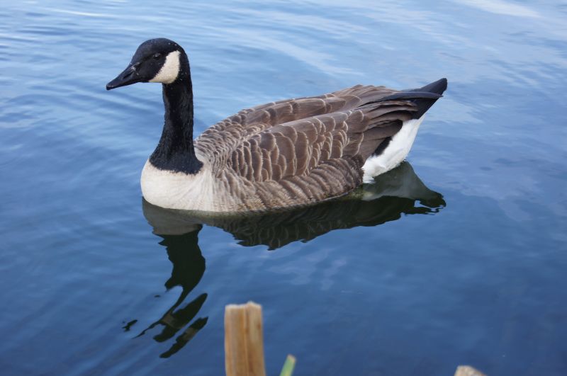 Viewing photos→2011→2011-02-24→13