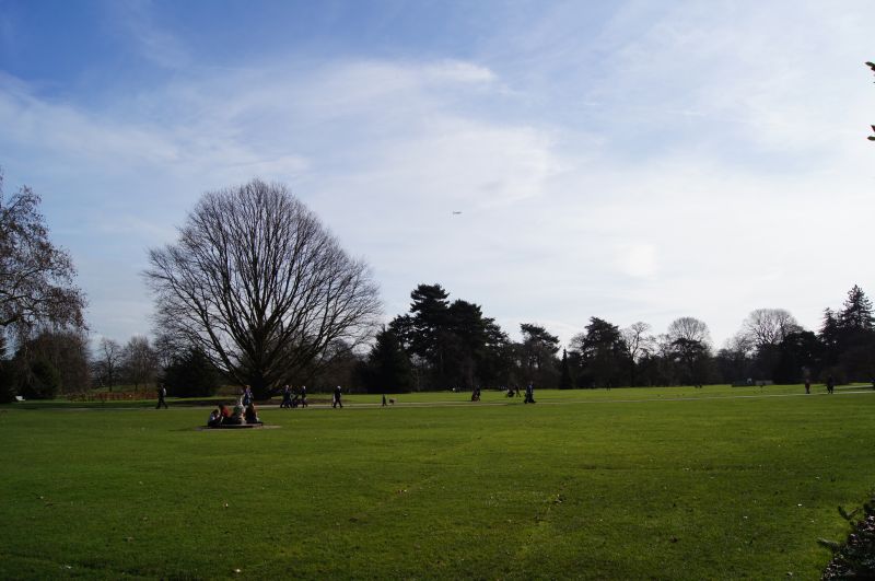 Viewing photos→2011→2011-02-24→31