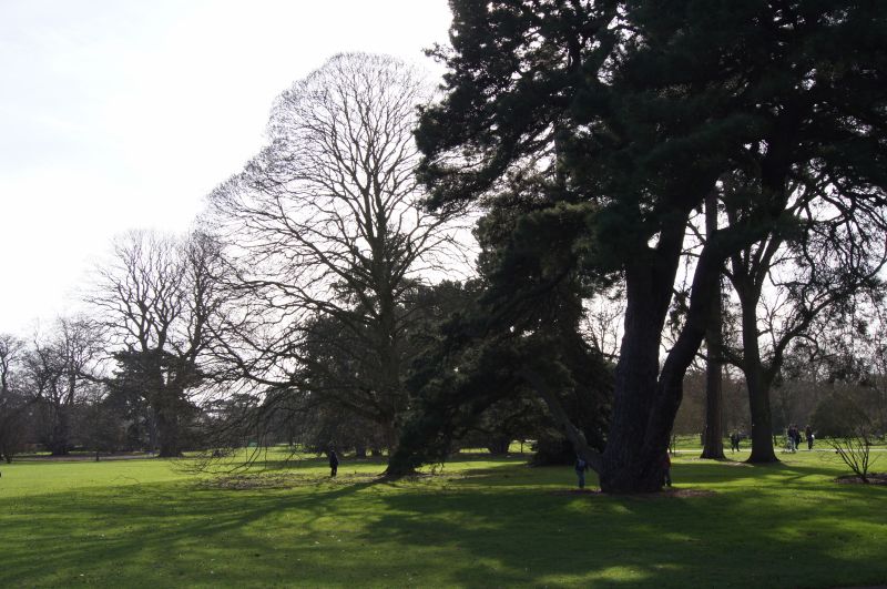 Viewing photos→2011→2011-02-24→36