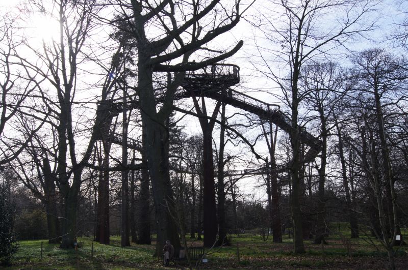 Viewing photos→2011→2011-02-24→43