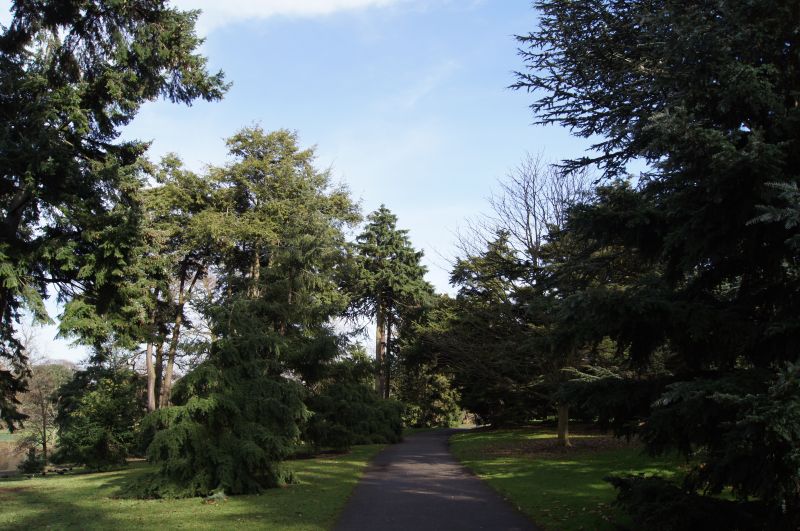 Viewing photos→2011→2011-02-24→69