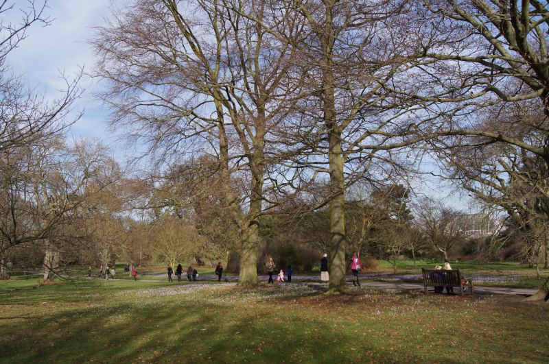 Viewing photos→2011→2011-02-24→74