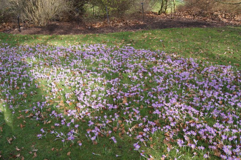 Viewing photos→2011→2011-02-24→76