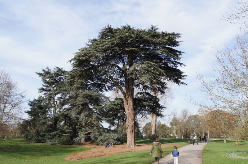 Viewing photos→2011→2011-02-24→81