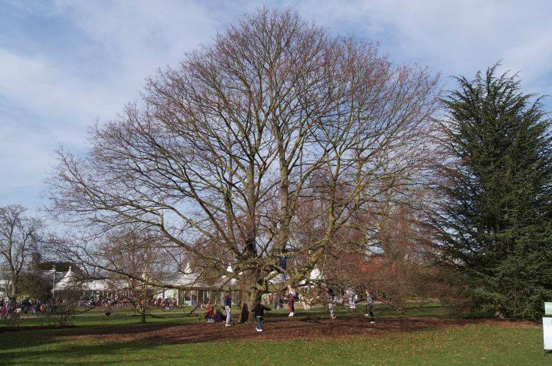 Viewing photos→2011→2011-02-24→83