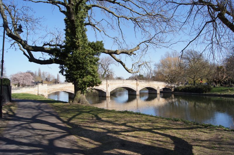 Viewing photos→2011→2011-03-19-1→025