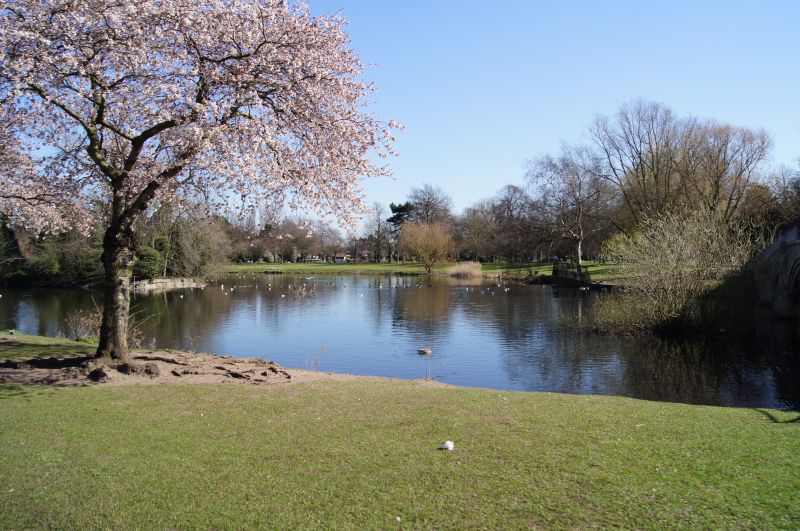 Viewing photos→2011→2011-03-19-1→028