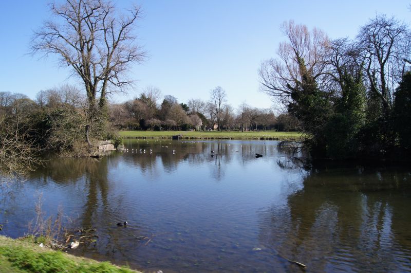 Viewing photos→2011→2011-03-19-1→030