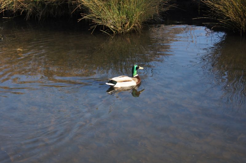 Viewing photos→2011→2011-03-19-1→054