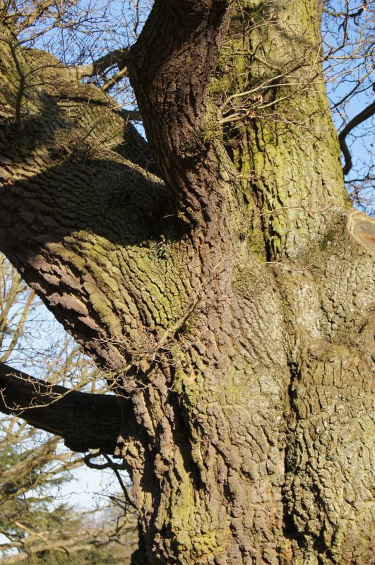 Viewing photos→2011→2011-03-19-1→057