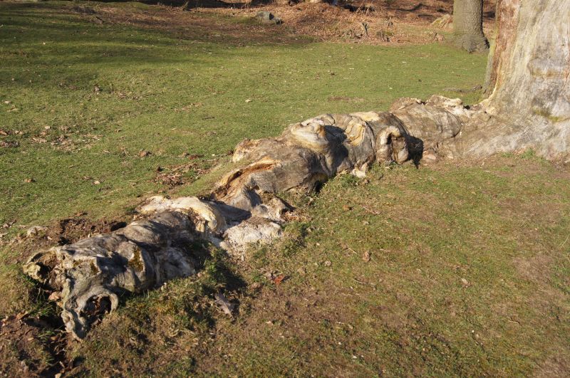 Viewing photos→2011→2011-03-19-1→059