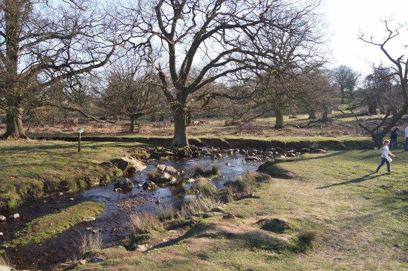 Viewing photos→2011→2011-03-19-1→063