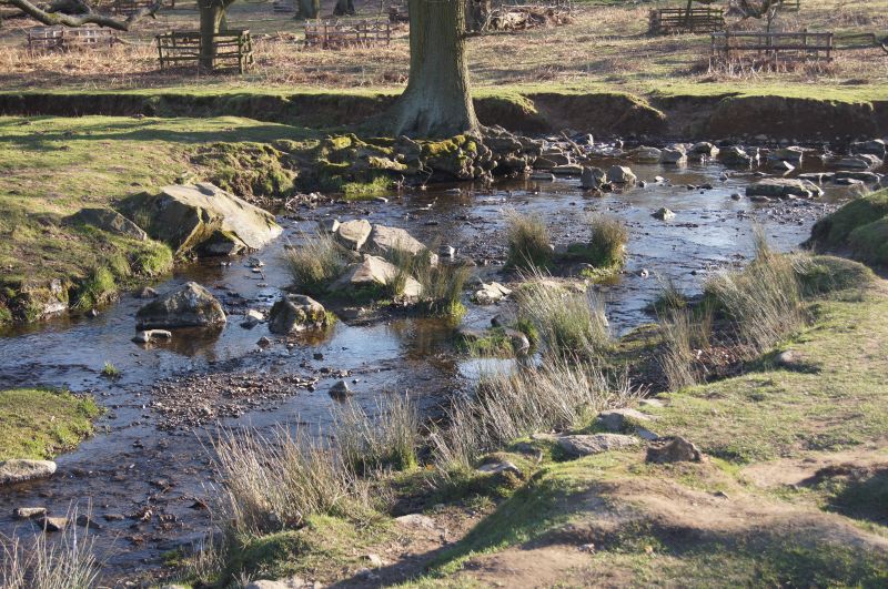 Viewing photos→2011→2011-03-19-1→064