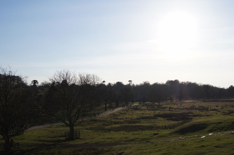 Viewing photos→2011→2011-03-19-1→078