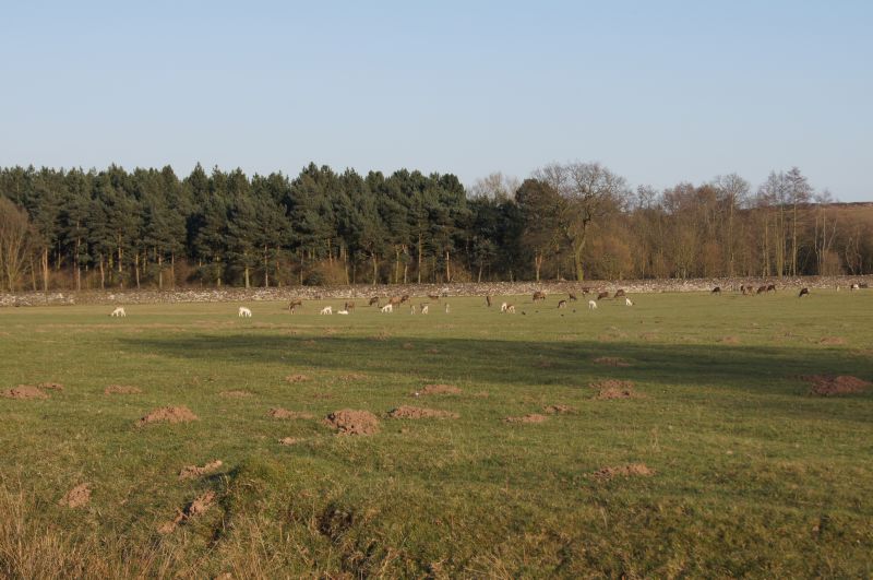 Viewing photos→2011→2011-03-19-1→081