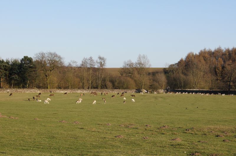 Viewing photos→2011→2011-03-19-1→082