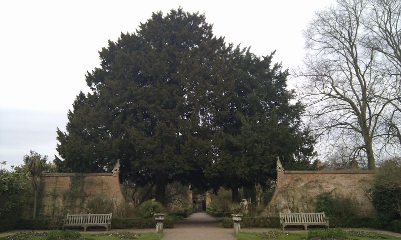 Viewing photos→2011→2011-03-19-1→097