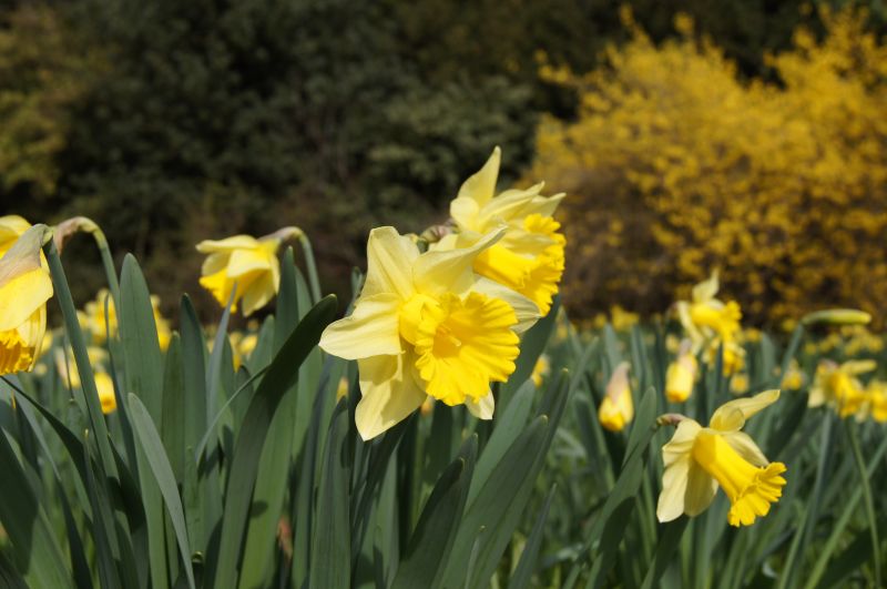 Viewing photos→2011→2011-03-24→01