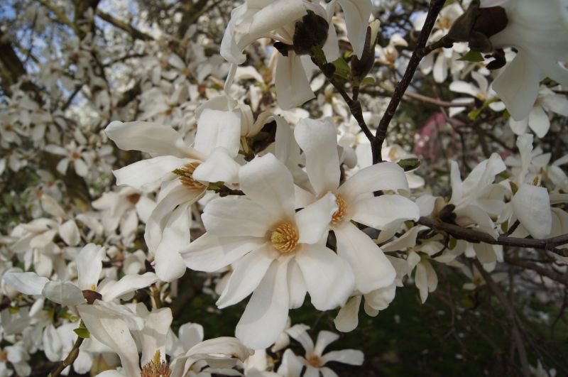 Viewing photos→2011→2011-03-24→03