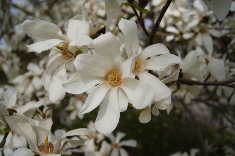 Viewing photos→2011→2011-03-24→04