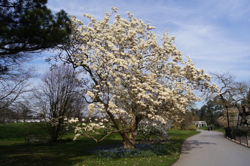 Viewing photos→2011→2011-03-24→08