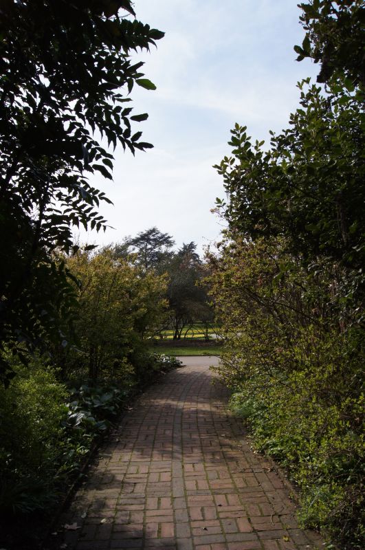 Viewing photos→2011→2011-03-24→10