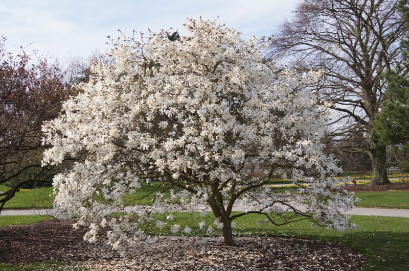 Viewing photos→2011→2011-03-24→11