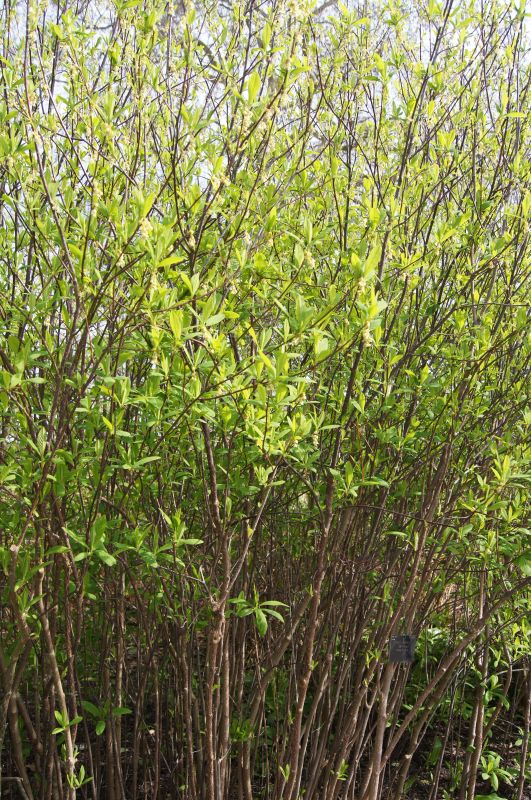 Viewing photos→2011→2011-03-24→13