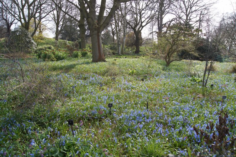 Viewing photos→2011→2011-03-24→20