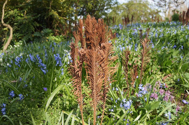 Viewing photos→2011→2011-03-24→26