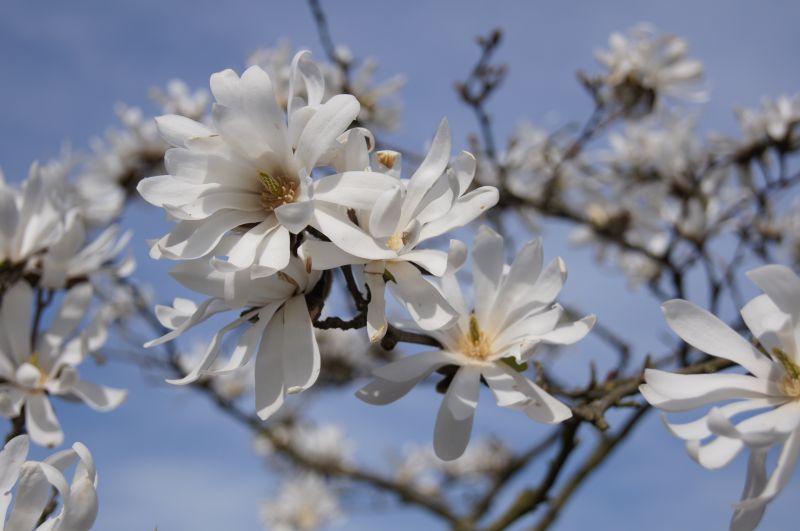 Viewing photos→2011→2011-03-24→28