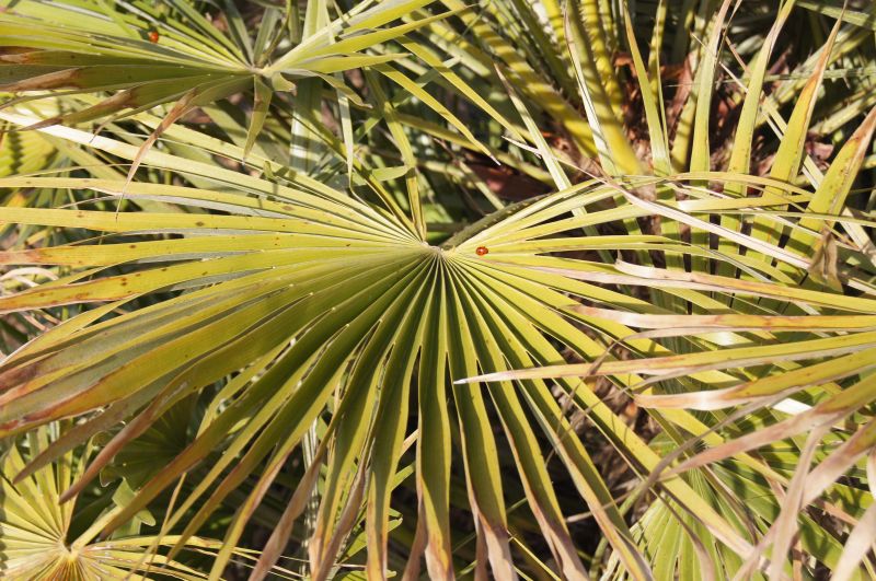 Viewing photos→2011→2011-03-24→31