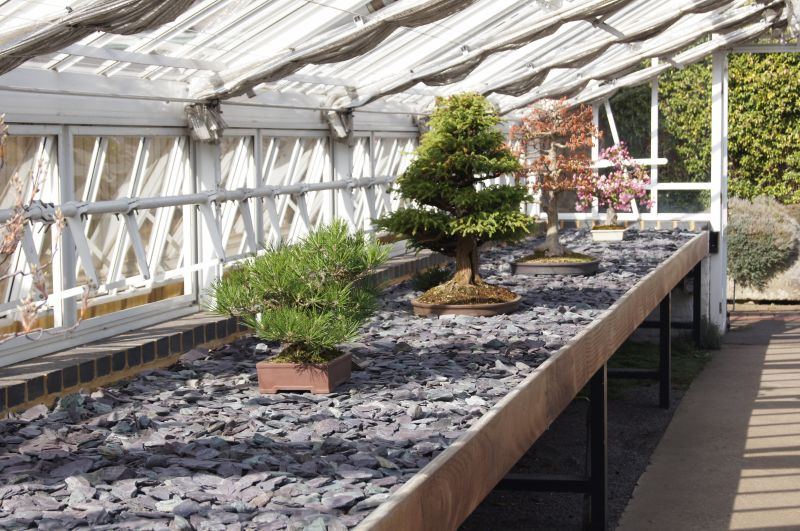 Viewing photos→2011→2011-03-24→36