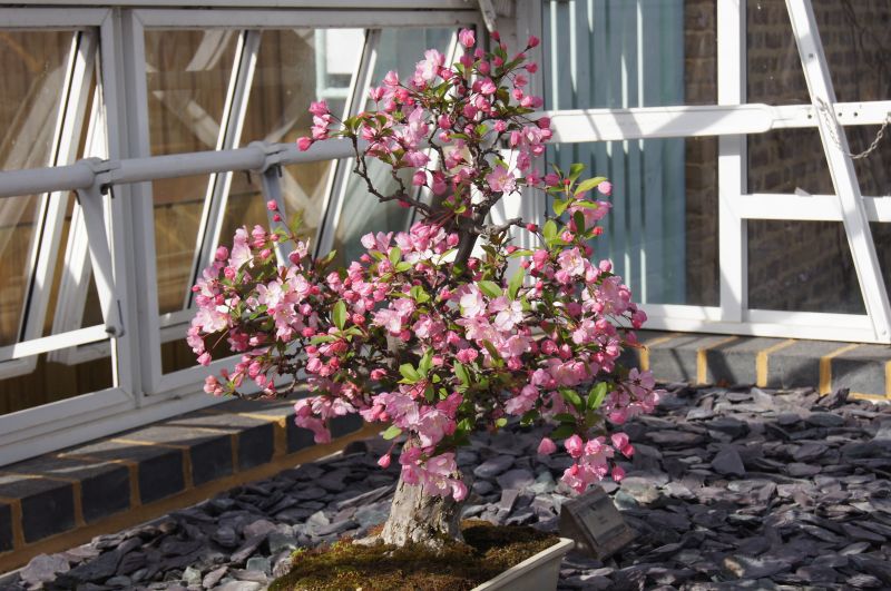 Viewing photos→2011→2011-03-24→37