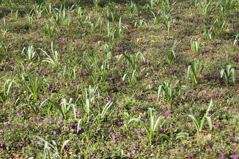 Viewing photos→2011→2011-03-24→41