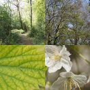 2011-04-09<br/>
<b>Hanger Hill Park</b>
