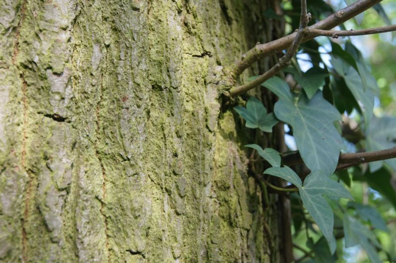 Viewing photos→2011→2011-04-09→04