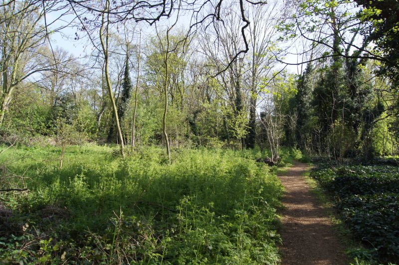 Viewing photos→2011→2011-04-09→06