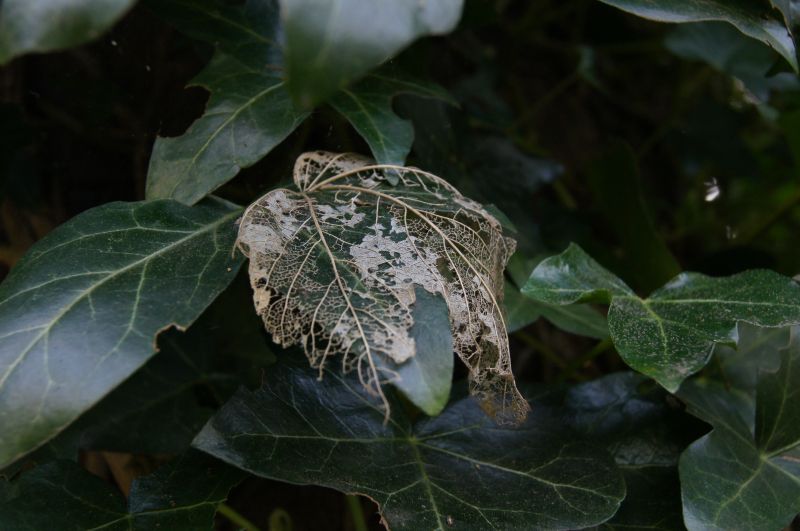 Viewing photos→2011→2011-04-09→09