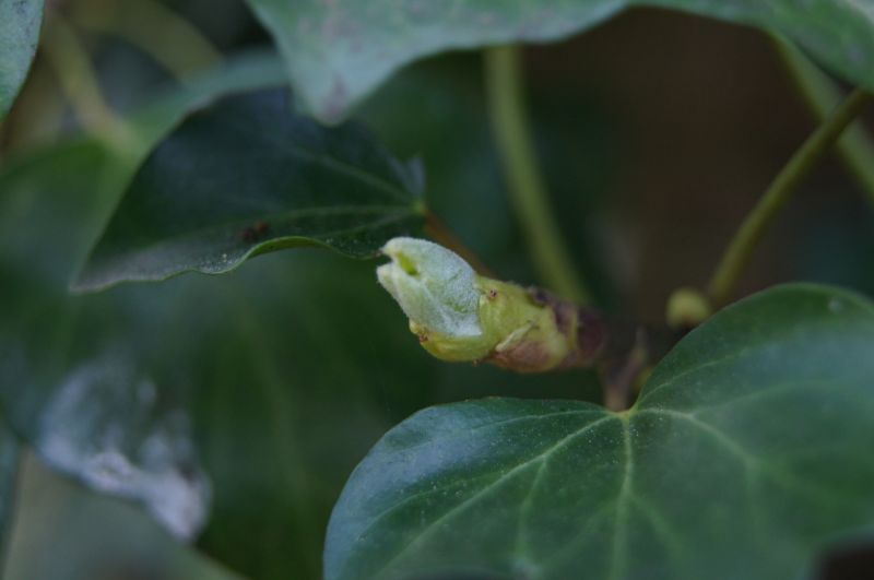 Viewing photos→2011→2011-04-09→10