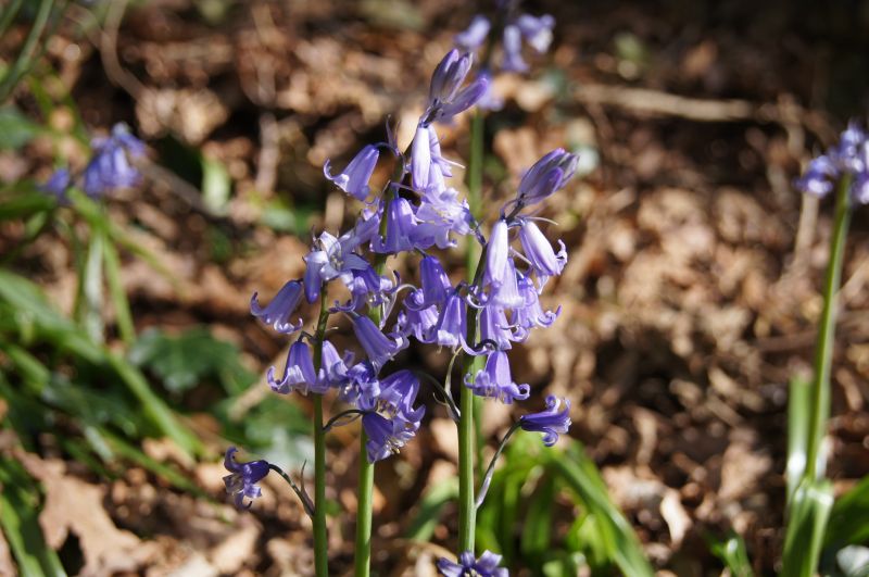 Viewing photos→2011→2011-04-09→14