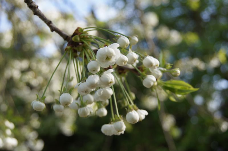 Viewing photos→2011→2011-04-09→23