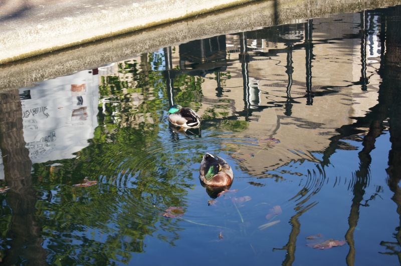 Viewing photos→2011→2011-04-10→11