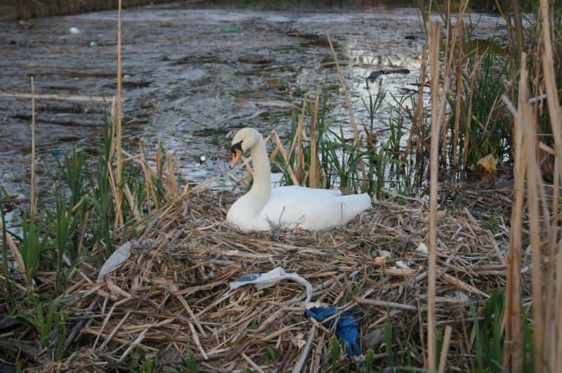 Viewing photos→2011→2011-04-22→36