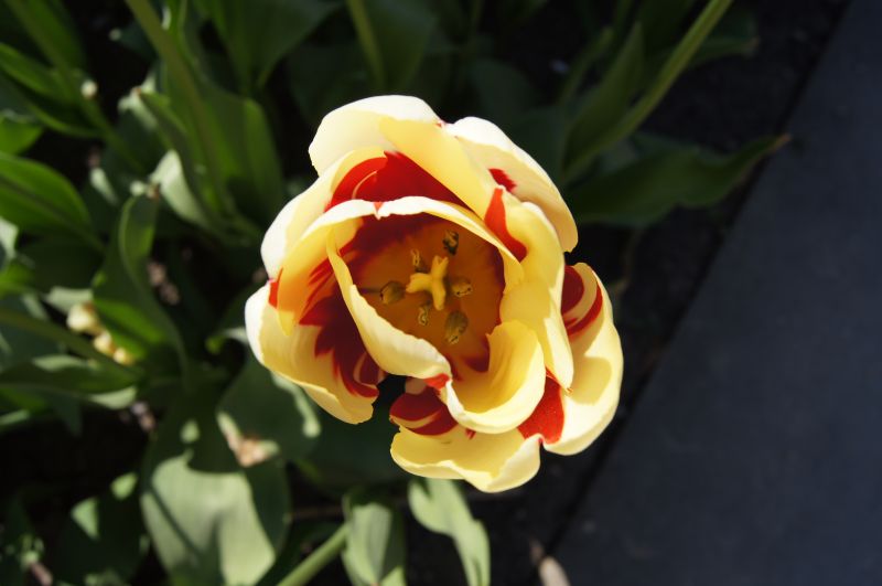 Viewing photos→2011→2011-04-27→104