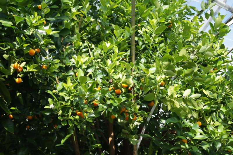 Viewing photos→2011→2011-04-27→115