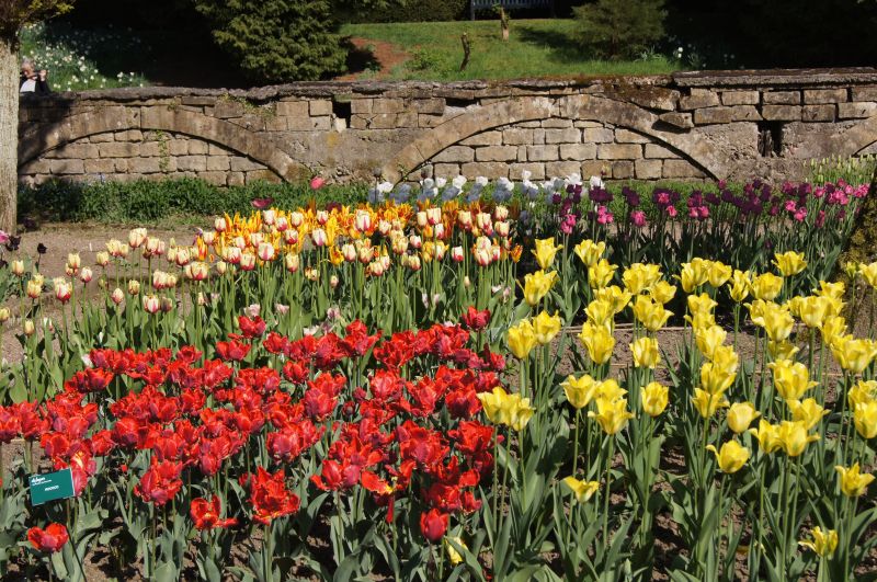 Viewing photos→2011→2011-04-27→138