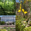 2011-05-31<br/>
<b>Botanischer Garten, Berlin</b>
