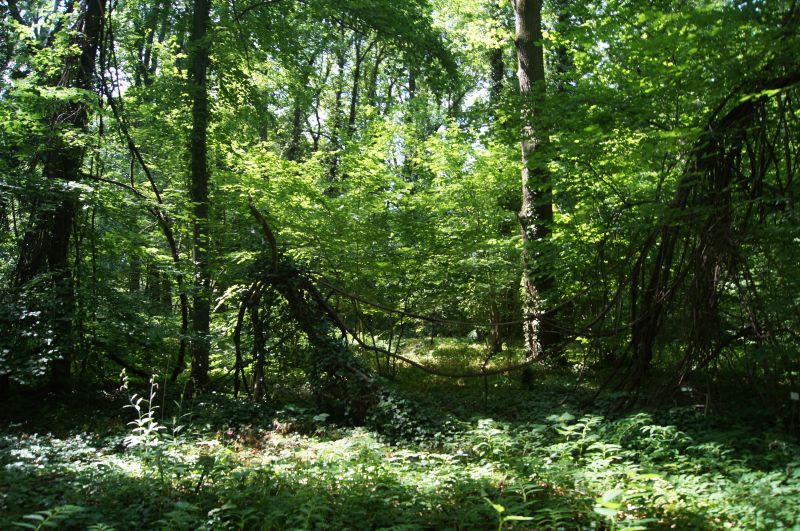 Viewing photos→2011→2011-05-31→01